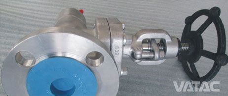Stainless Steel Globe Valve
