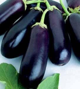 fresh brinjal