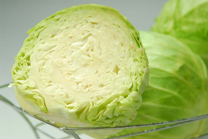 fresh cabbage