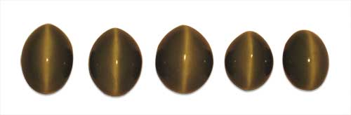 Indian Cat's Eye