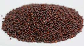 Red Mustard Seeds