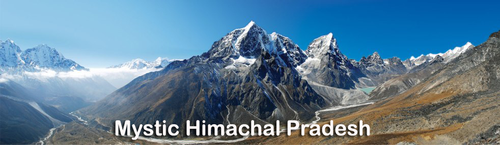 Himachal Tour Service