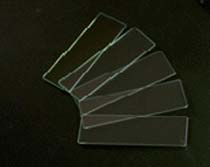 Microscope Glass Slides