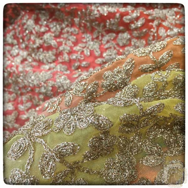 4D Zari Doriya Embroidered Net