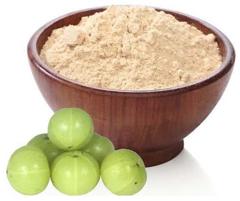 Organic Amla Powder, for Cooking, Hair Oil, Medicine, Murabba, Skin Products, Packaging Type : Jute Bag