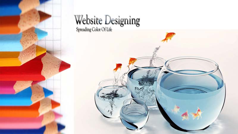 Website designing