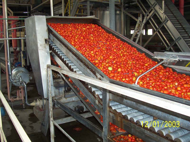 Automatic Electric Tomato Processing Line, for Food Packaging, Power : 1-3kw, 9-12kw