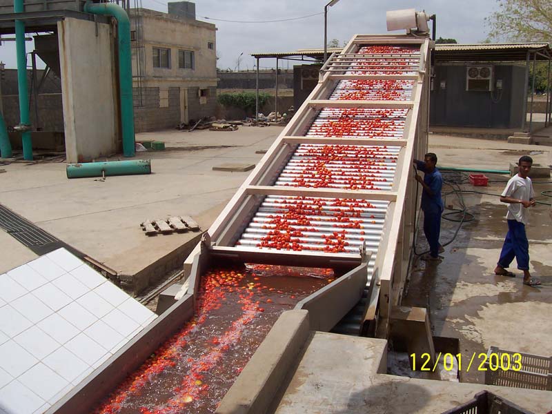 Tomato Processing Plant