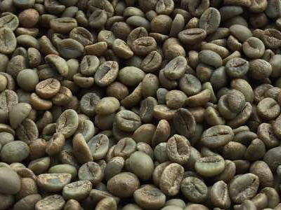 Robusta Plantation AA