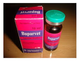 Buparvaquone Injection