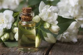 high quality jasmine essential oil at best price