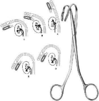 Surgical Urology Instruments