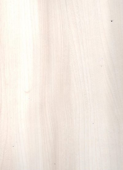 Textured Laminates - Finn Elm