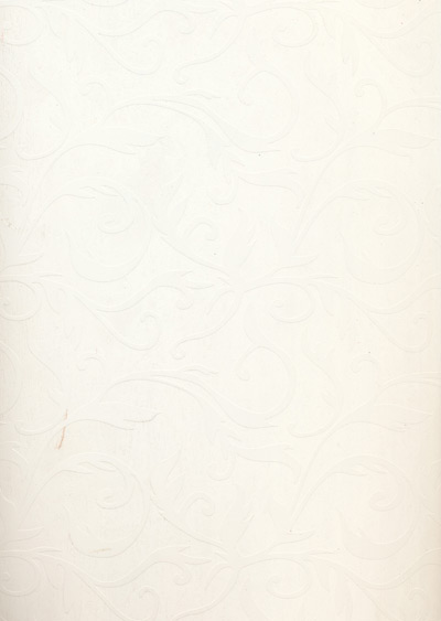 Textured Laminates - Frosty White