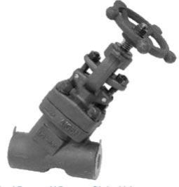Forged Steel Y-pattern Globe Valve
