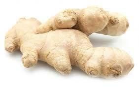 fresh ginger