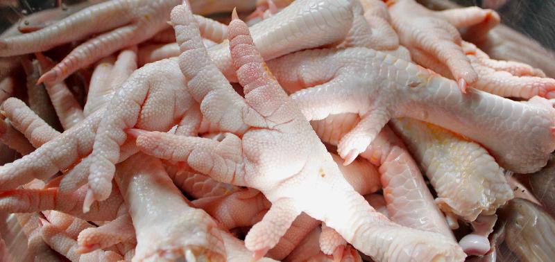 frozen chicken feet