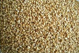 Organic Single Skin Sesame Seeds, for Agricultural, Making Oil, Purity ...