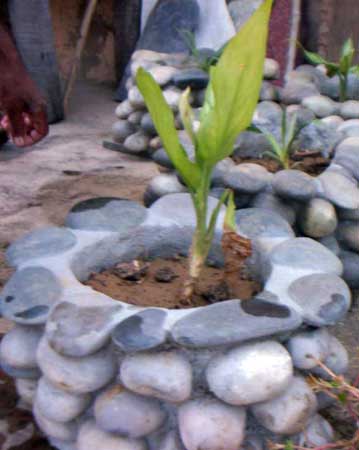 Pebbles Planter Pots