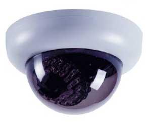 RYK 2G49L Dome Camera, Certification : ISO 9001:2008 Certified