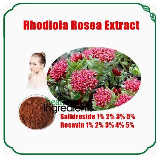 Rhodiola Rosea Extract