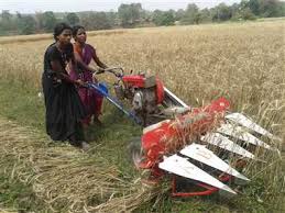 agricultural rice  cutter machine supplier
