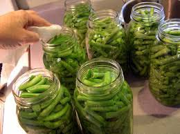 Canned French Bean
