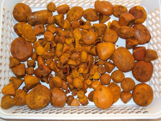 Cow Ox Gallstones for Sale