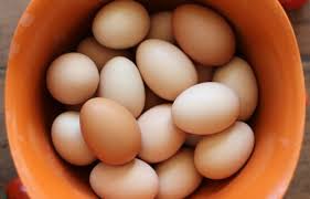 Fresh Brown and White Chicken Eggs