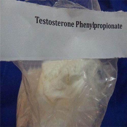 Testosterone Phenylpropionate