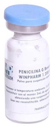 Benzathine Benzylpenicillin for Injection Buy Benzathine ...