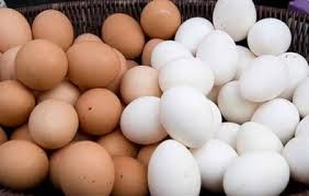 brown chicken eggs