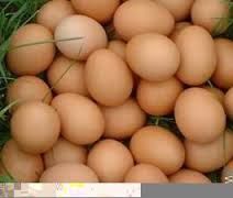 Premium Grade Fresh Eggs