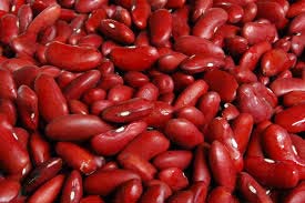 Brined Red Kidney Beans