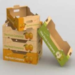 Fruit Packaging Boxes