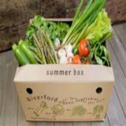 Vegetable Packaging Boxes