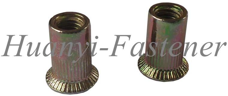 Flat Head Rivet Nut