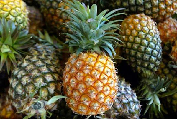 Fresh Pine Apple