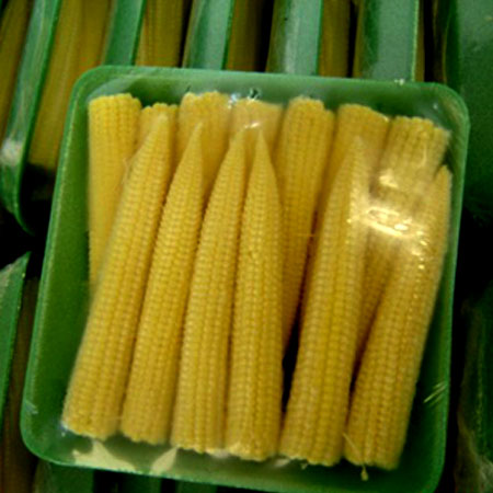 Baby Corn, Packaging Type : 20 kg.