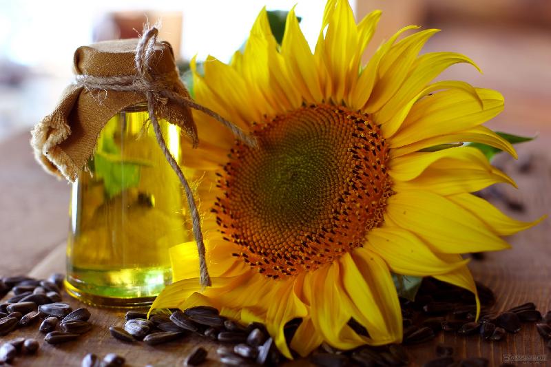 Organic Edible Sunflower Oil, For Baking, Cooking, Packaging Type : Glass Bottle, Pet Bottles