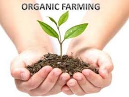 Land For Organic Farming
