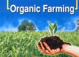 Organic Farms