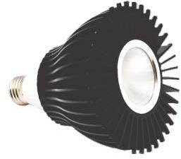 LED Par Light