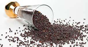 Black mustard seeds