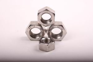 Stainless Steel Hex Nuts