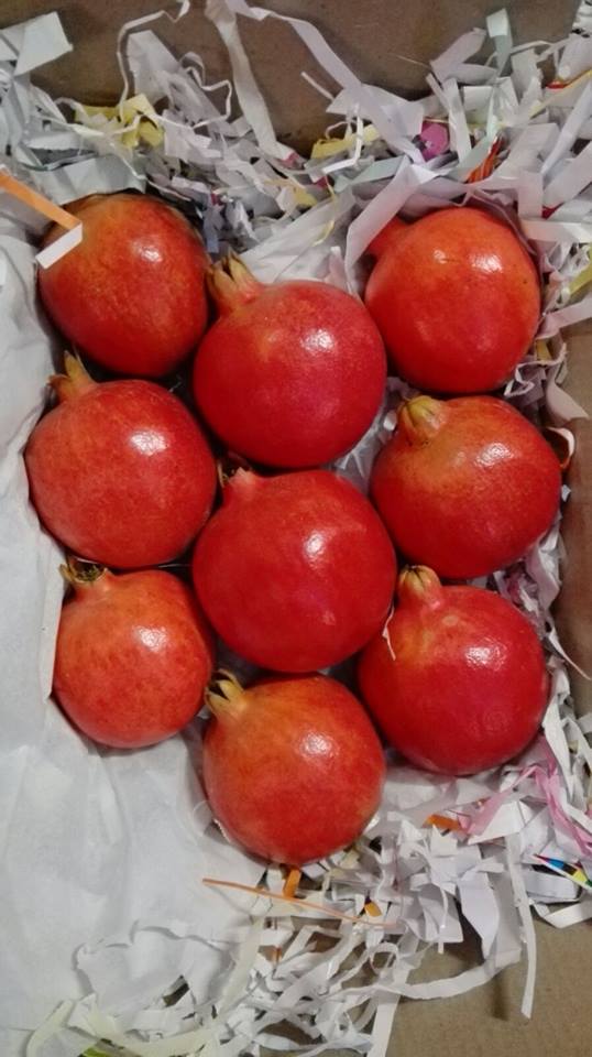 Pomegranate, Grade : export