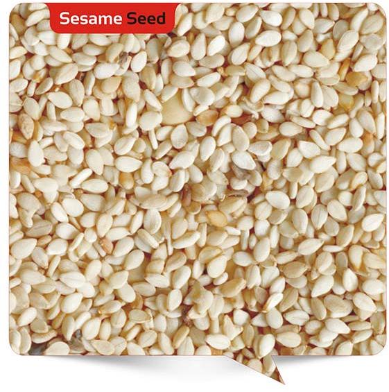 Sesame seeds, Packaging Type : 25kg Carton/Woven/Kraft Bag