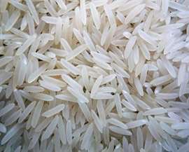 IR 36 Broken Rice