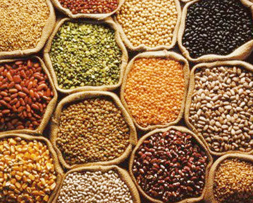 Grains and Pulses