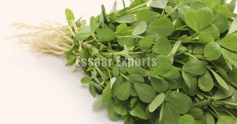 Organic Fresh Fenugreek Leaves, Color : Dark Green